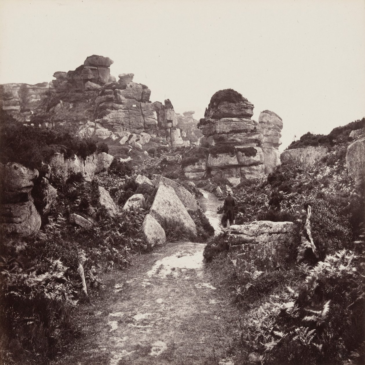 Skały Brimham, Yorkshire autorstwa Francis Frith