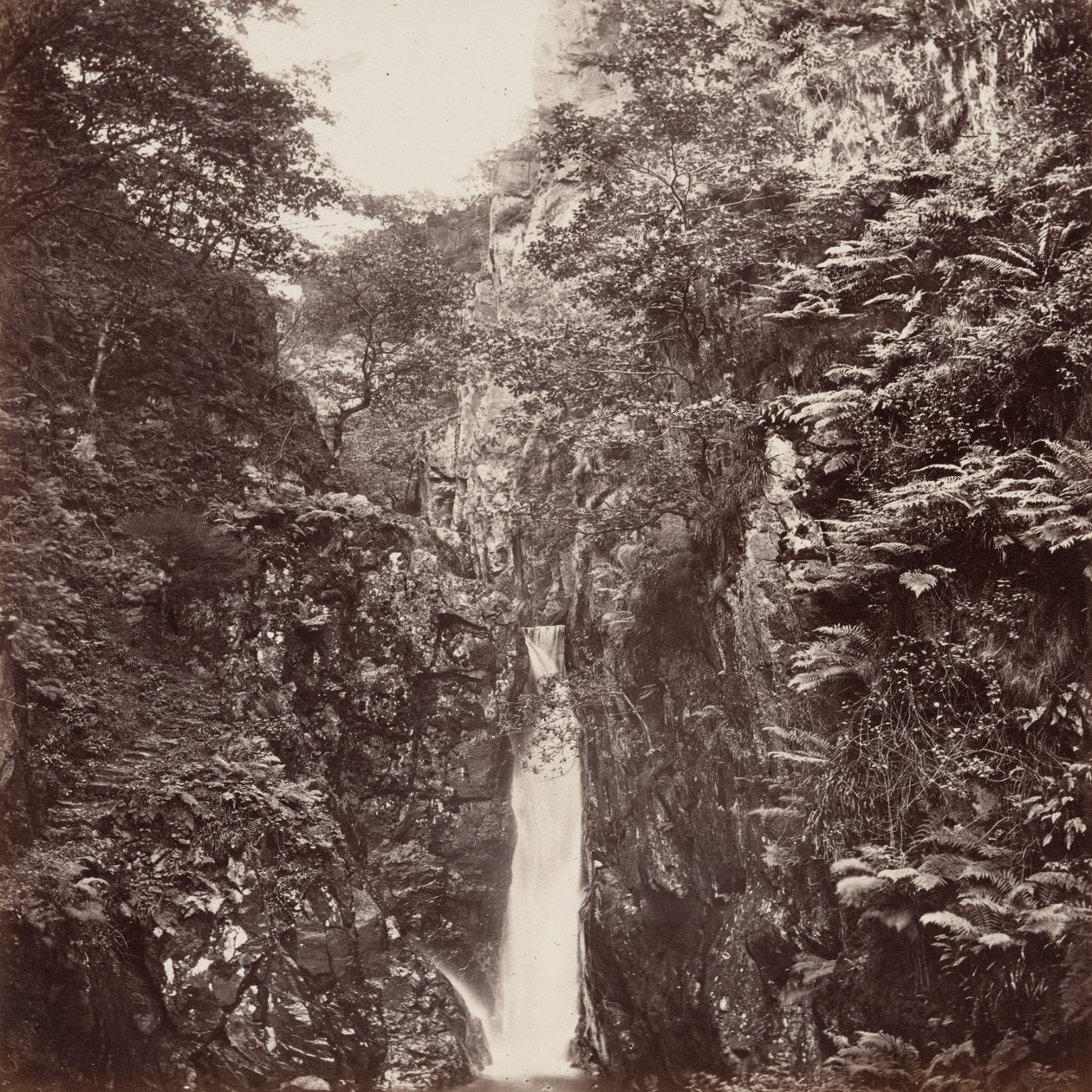 Wodospad Dalegarth, Cumberland autorstwa Francis Frith