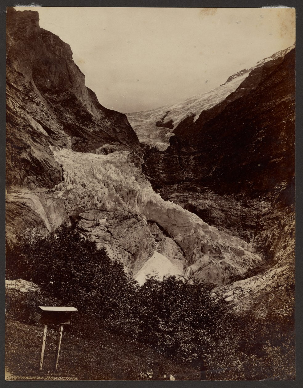 Górny lodowiec w Grindelwaldzie autorstwa Francis Frith