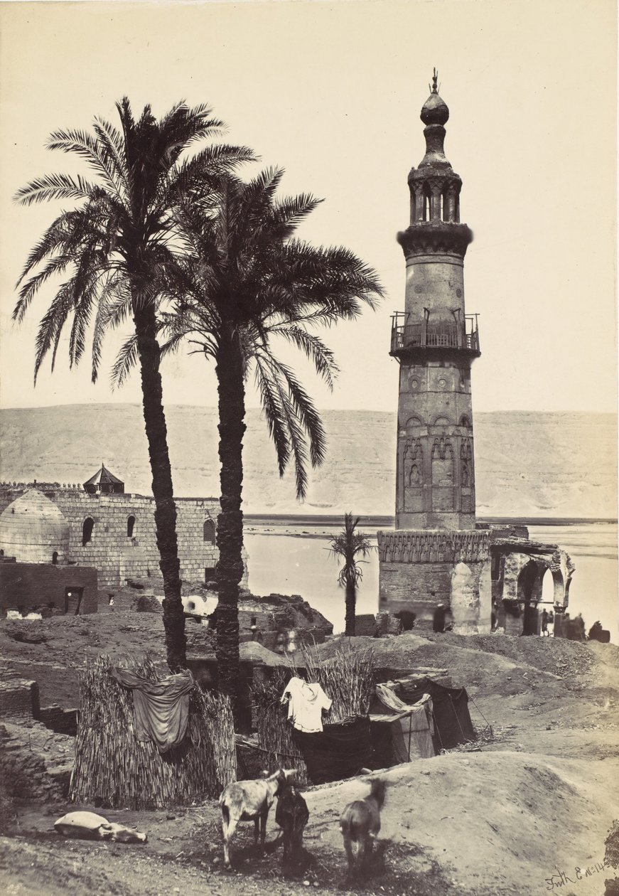 Widok na Girgeh, 1857. autorstwa Francis Frith