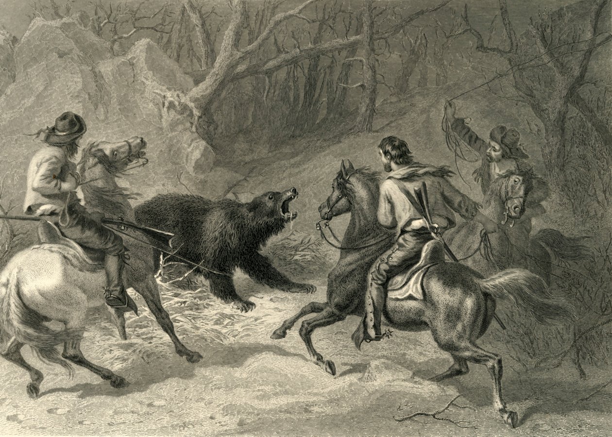 „Rdzenni Kalifornijczycy Lassoing niedźwiedzia”, 1874. autorstwa Francis Holl