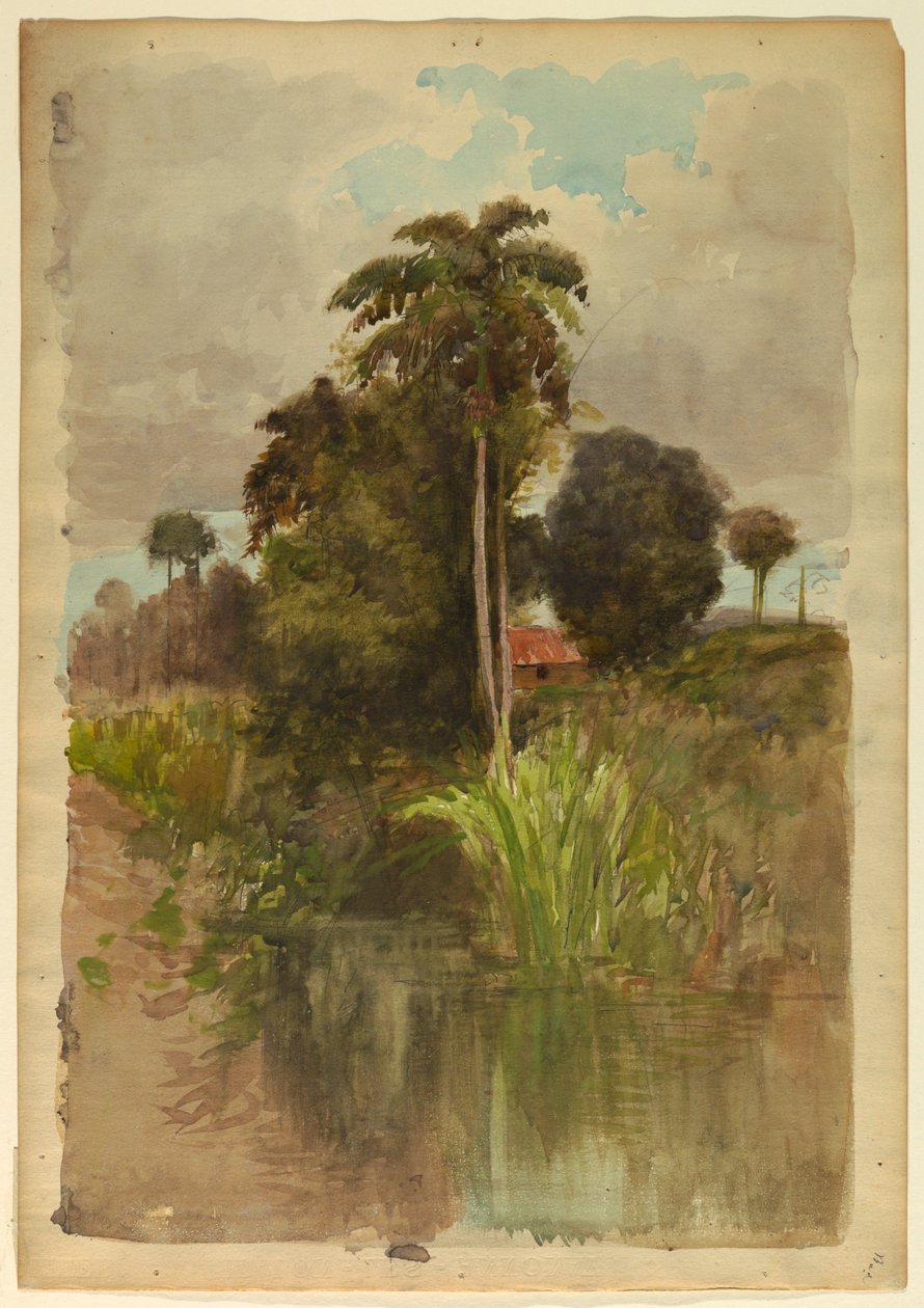 Studium palm autorstwa Francis Hopkinson Smith