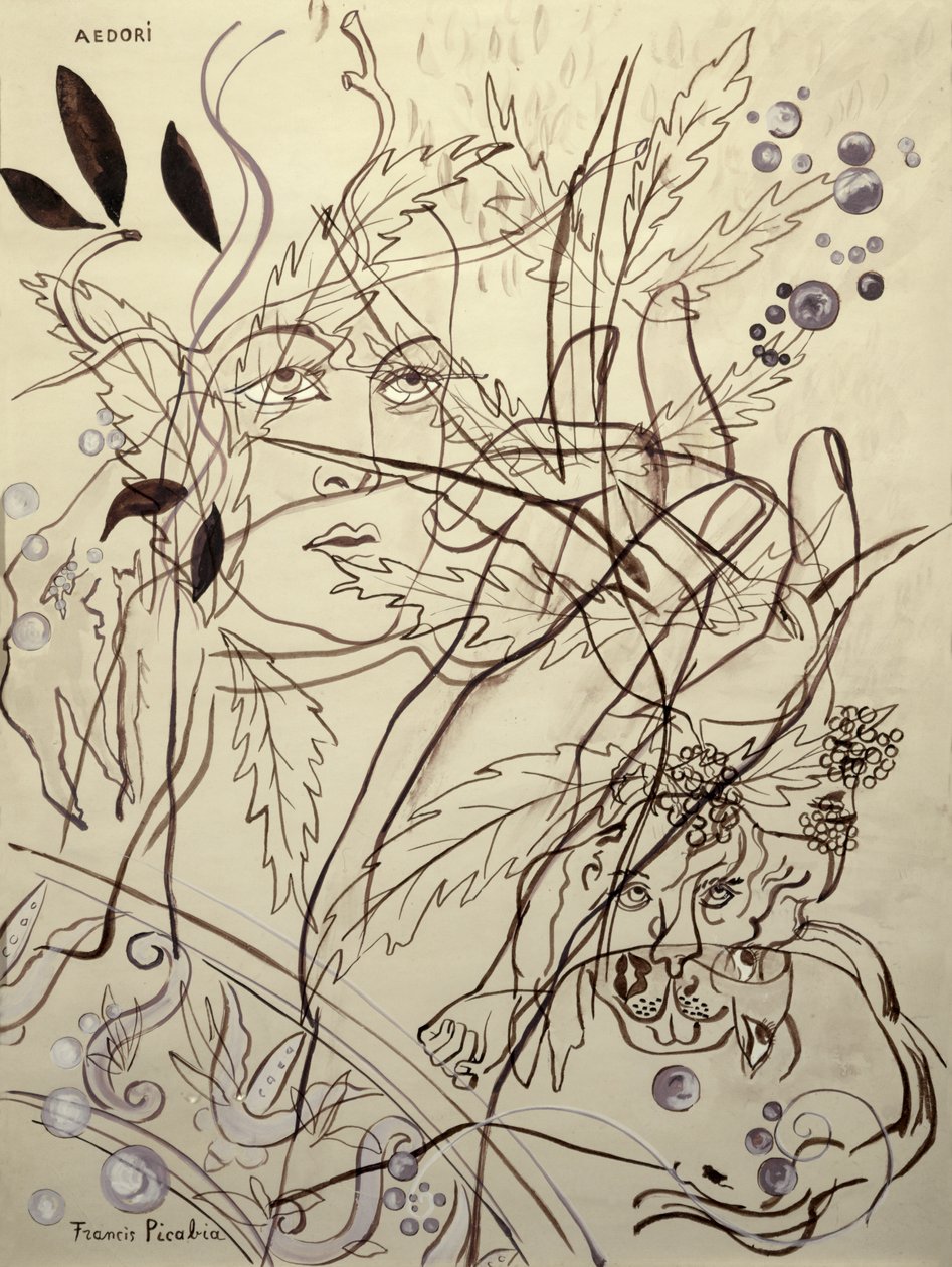 Aedori autorstwa Francis Picabia