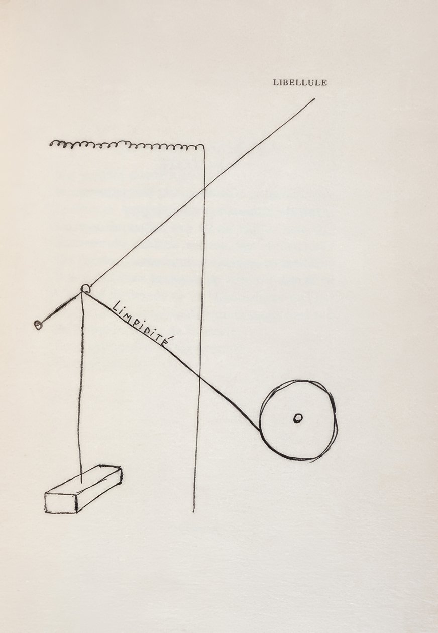 Ważka autorstwa Francis Picabia
