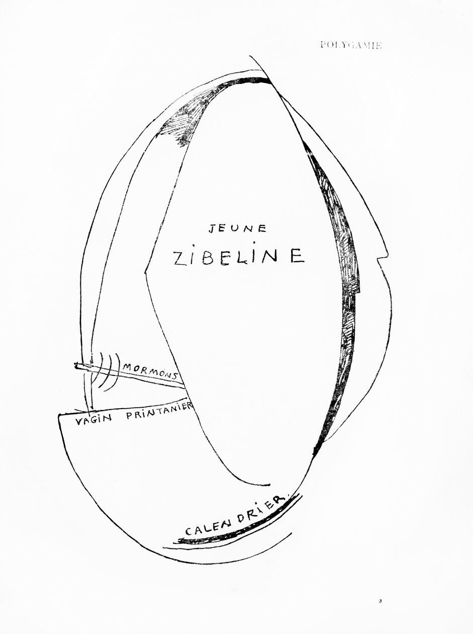 Poemes et Dessins de la Fille nee sans Mere, nr 15, opublikowane przez Imprimeries Reunies, Lozanna autorstwa Francis Picabia