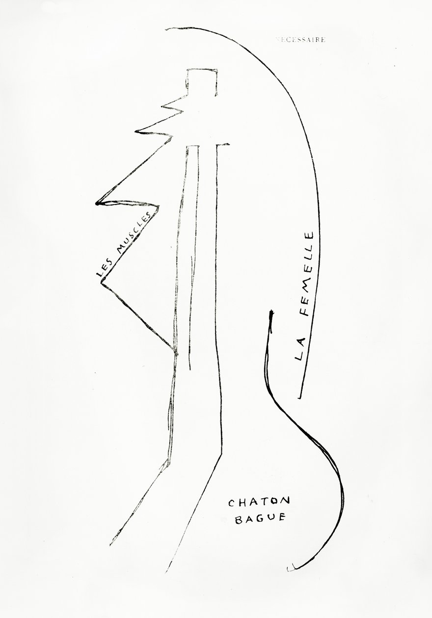 Poemes et Dessins de la Fille nee sans Mere, nr 23, opublikowane przez Imprimeries Reunies, Lozanna autorstwa Francis Picabia