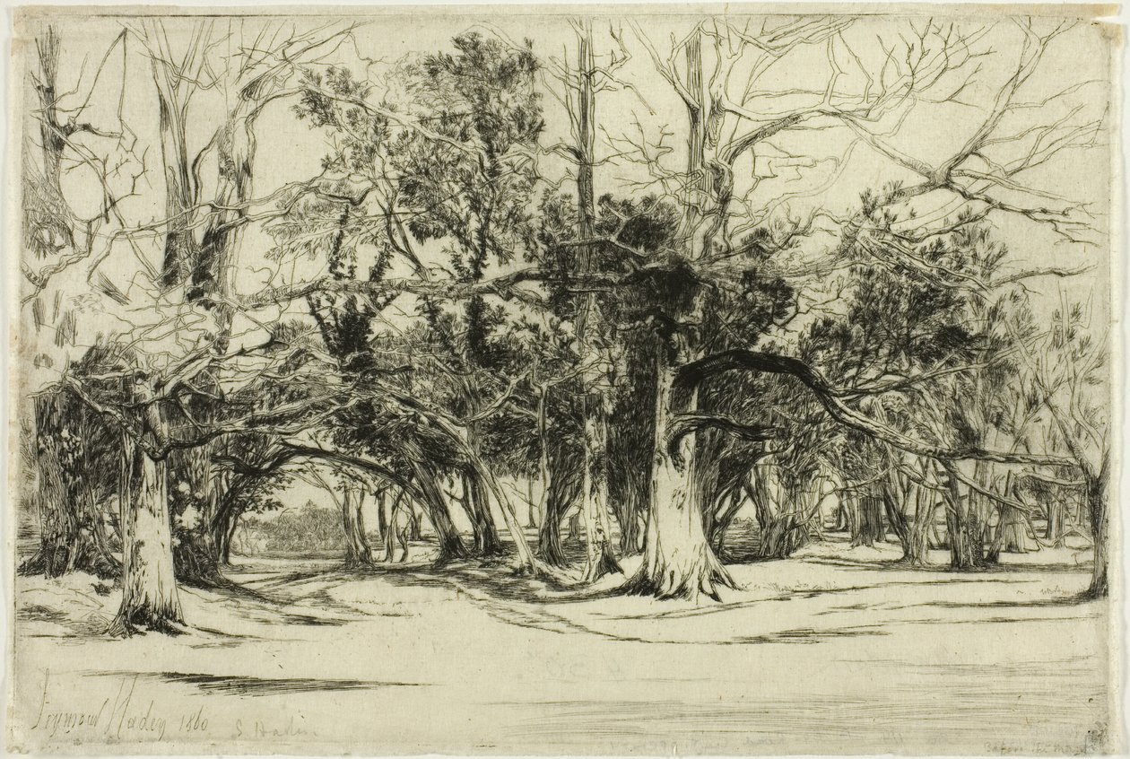 Obwodnica w Tipperary autorstwa Francis Seymour Haden
