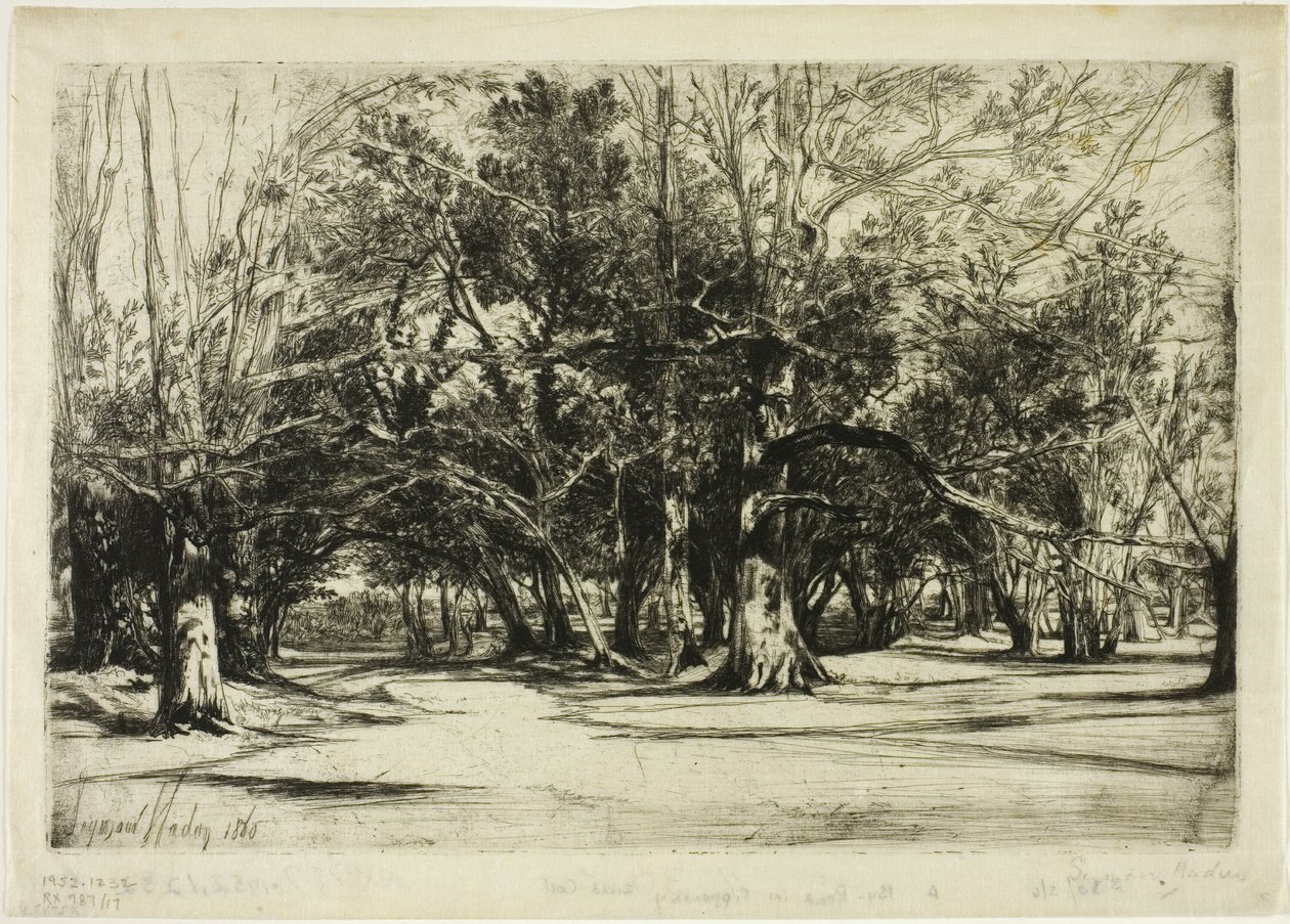 Obwodnica w Tipperary autorstwa Francis Seymour Haden