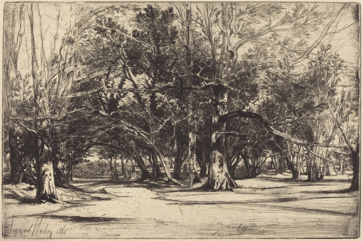 Boczna droga w Tipperary autorstwa Francis Seymour Haden