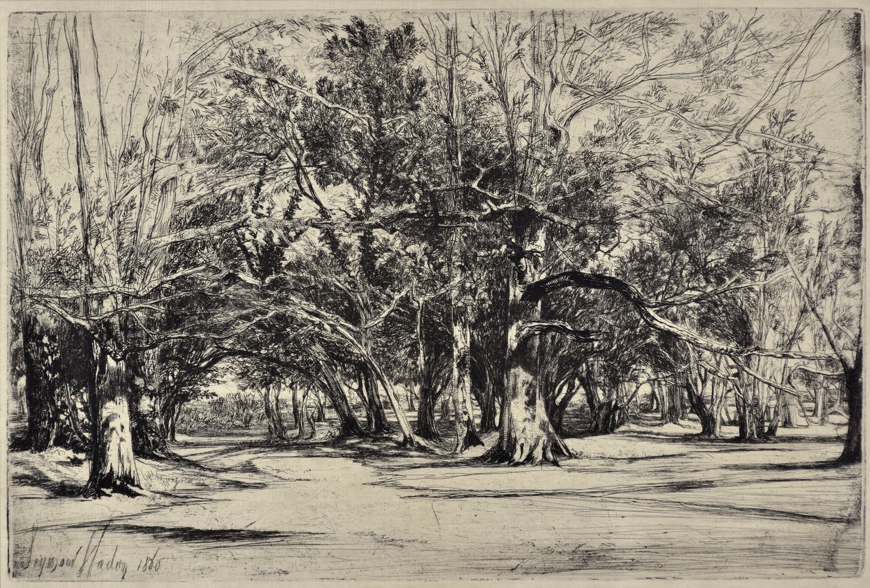 Obwodnica w Tipperary autorstwa Francis Seymour Haden