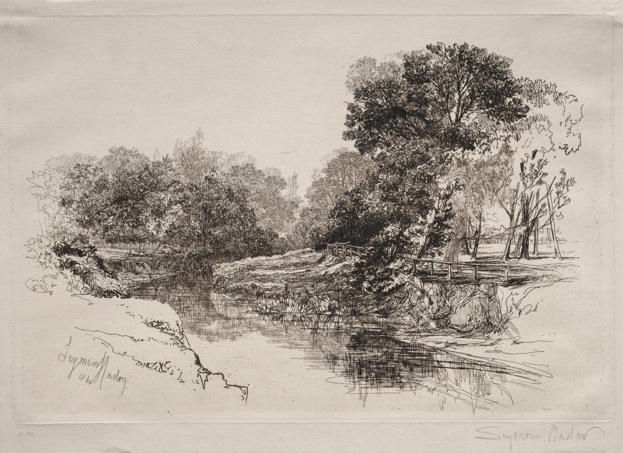 Rzeka w Irlandii, 1864. autorstwa Francis Seymour Haden