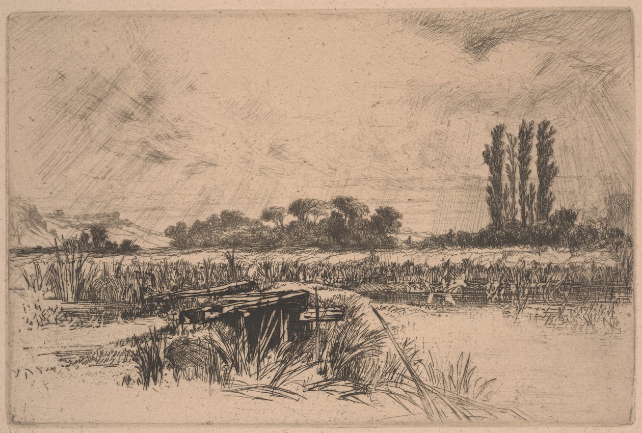 Łąka Wodna (trawienie i sucha igła) autorstwa Francis Seymour Haden