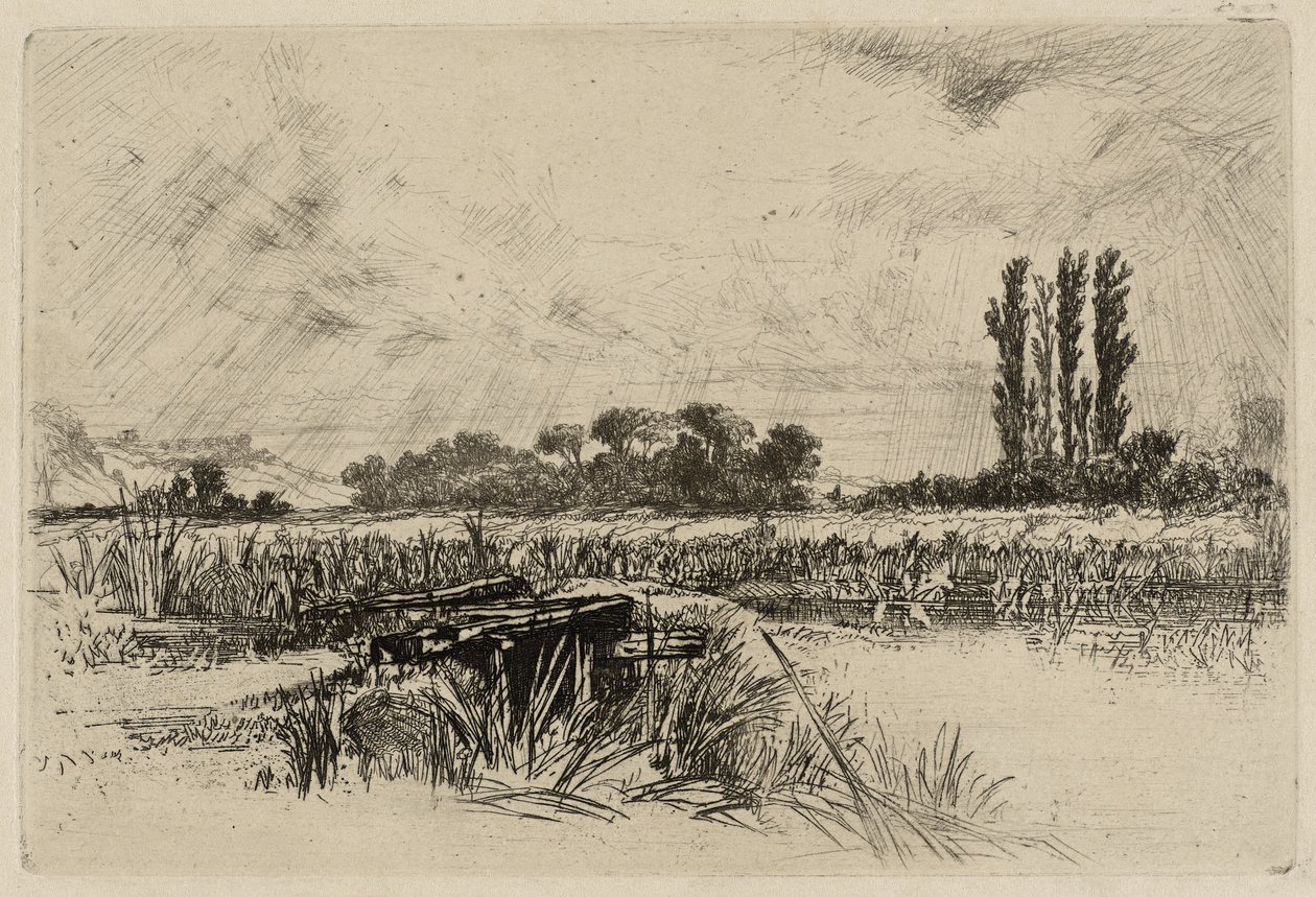 Wodna Łąka autorstwa Francis Seymour Haden
