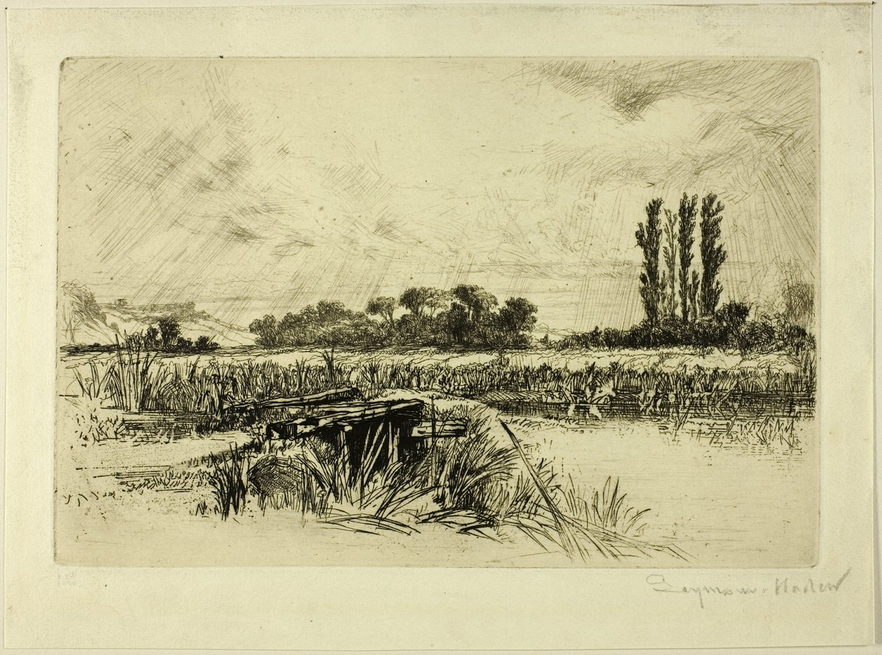 Wodna Łąka autorstwa Francis Seymour Haden