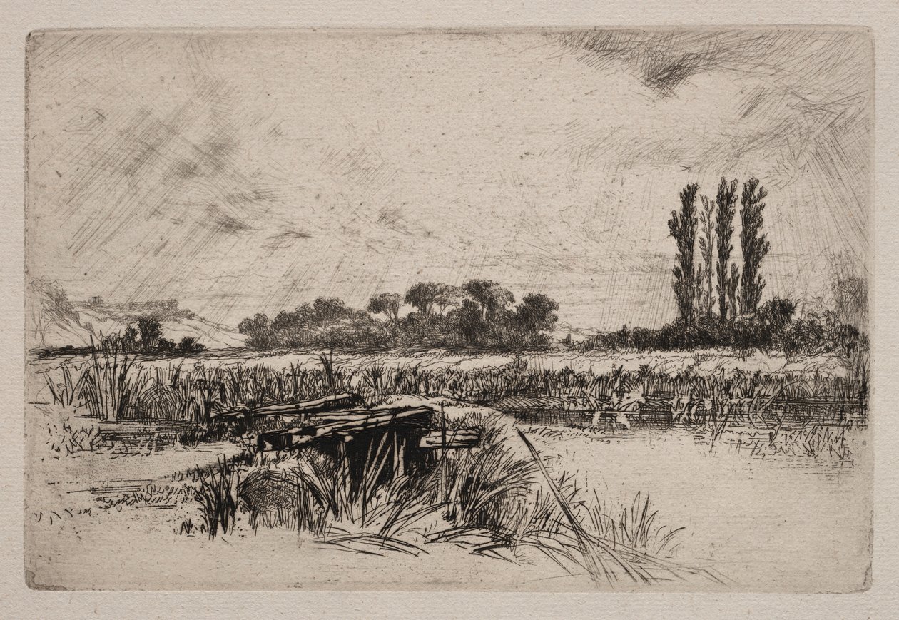 Łąka Wodna, 1859. autorstwa Francis Seymour Haden