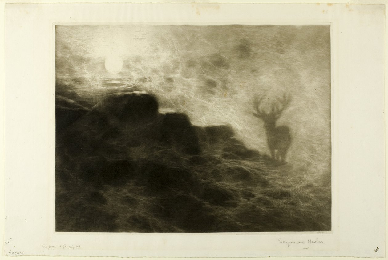Wczesny ptaszek autorstwa Francis Seymour Haden