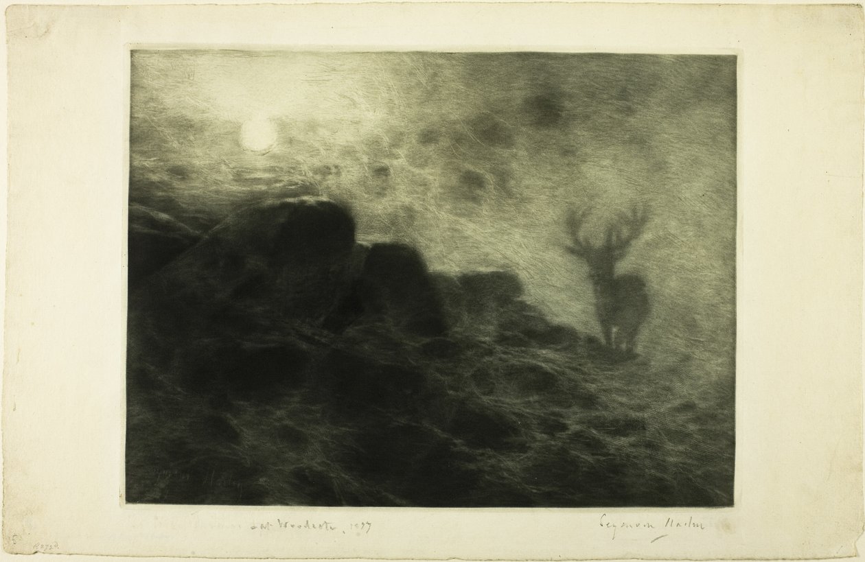 Wczesny ptaszek autorstwa Francis Seymour Haden