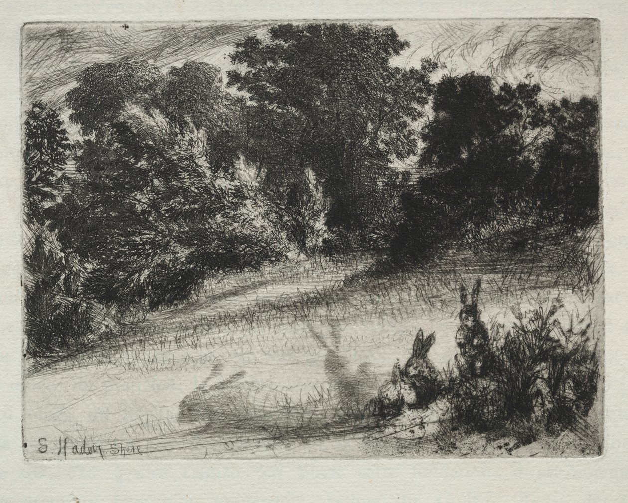 Grzebień na dole. autorstwa Francis Seymour Haden