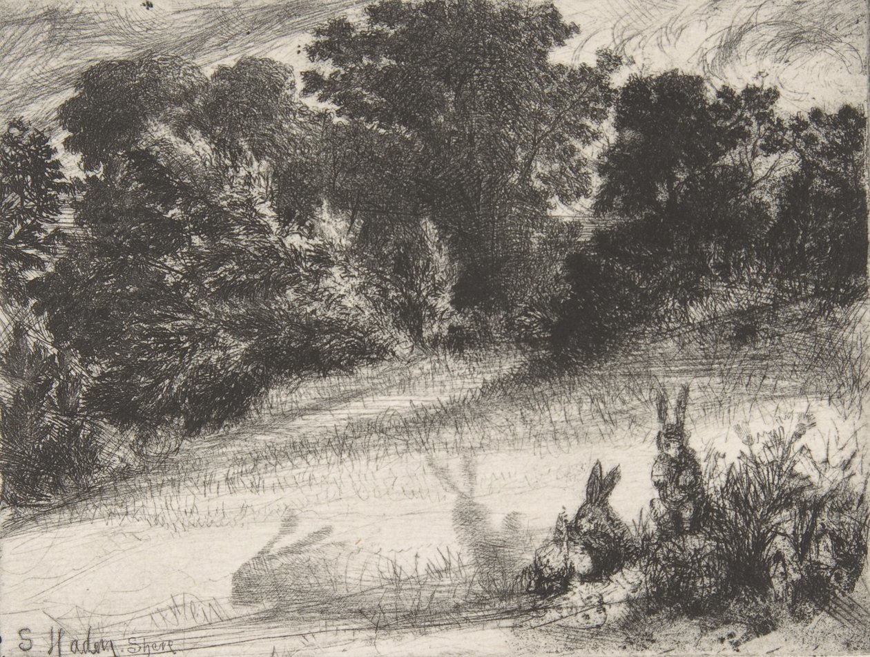 Grzebień dolny, 1860., 1860. autorstwa Francis Seymour Haden