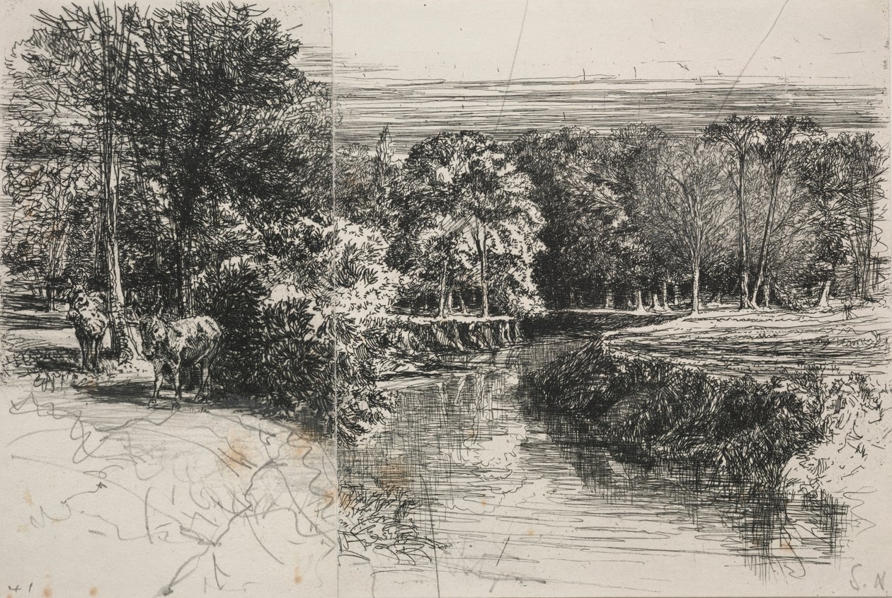 Rzeka Dundrum i dwie osły, 1863. autorstwa Francis Seymour Haden