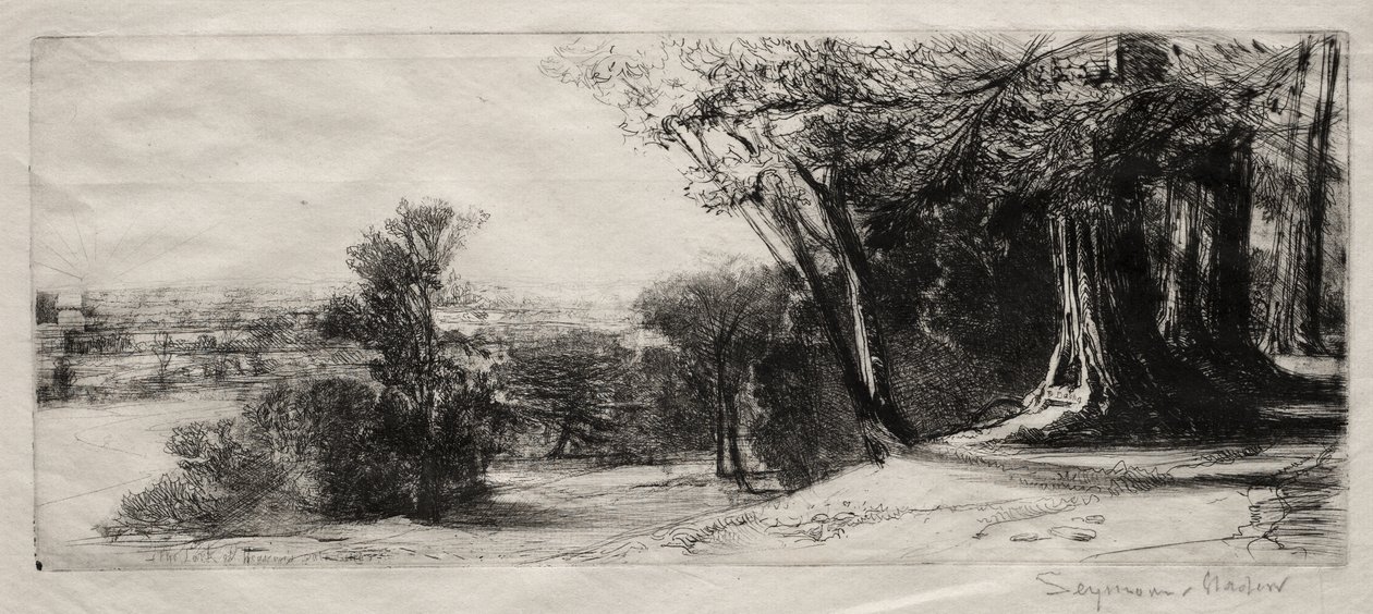 Wczesny poranek, Richmond Park autorstwa Francis Seymour Haden