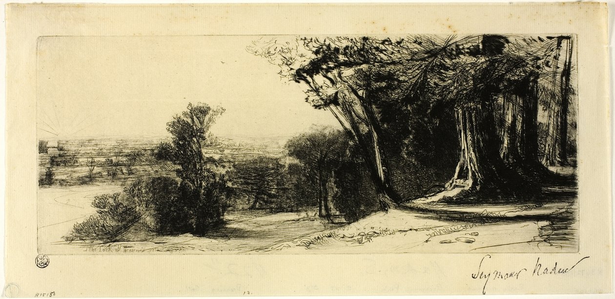 Wczesny poranek, Richmond Park autorstwa Francis Seymour Haden