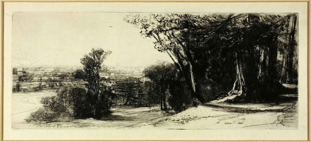 Wczesny poranek, Richmond Park autorstwa Francis Seymour Haden