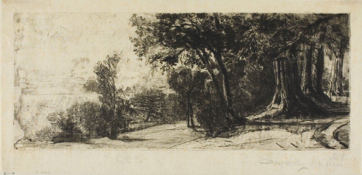 Wczesny poranek, Richmond Park autorstwa Francis Seymour Haden