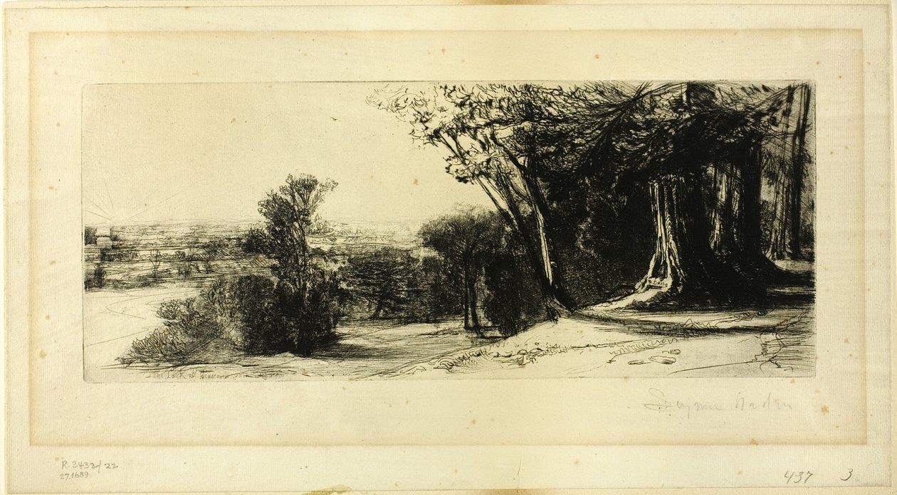 Wczesny poranek, Richmond Park autorstwa Francis Seymour Haden