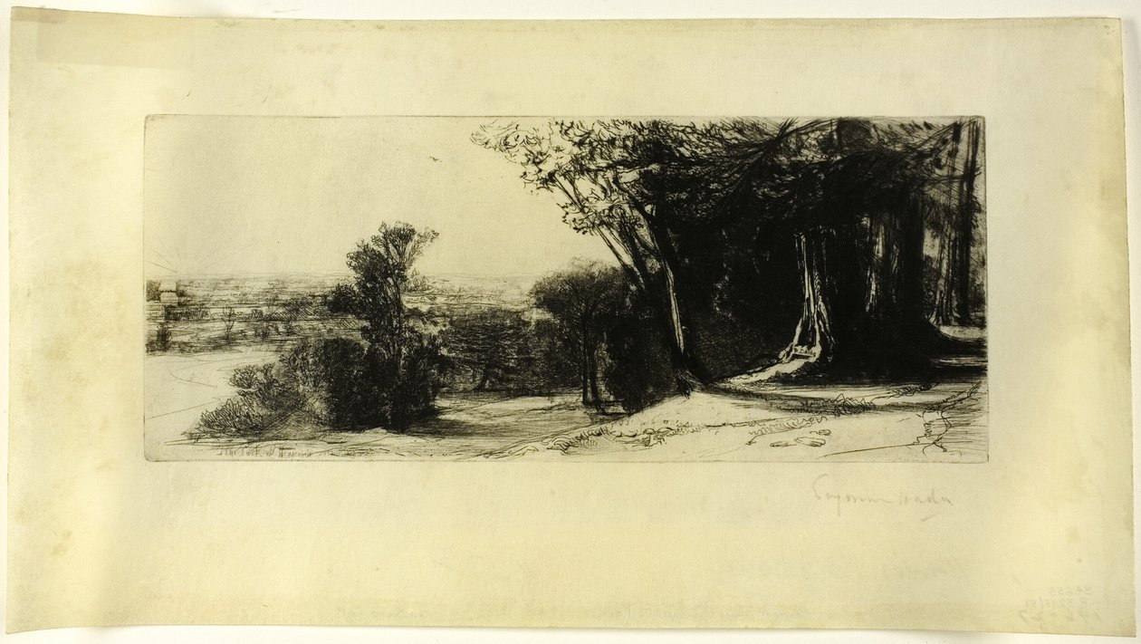 Wczesny poranek, Richmond Park autorstwa Francis Seymour Haden