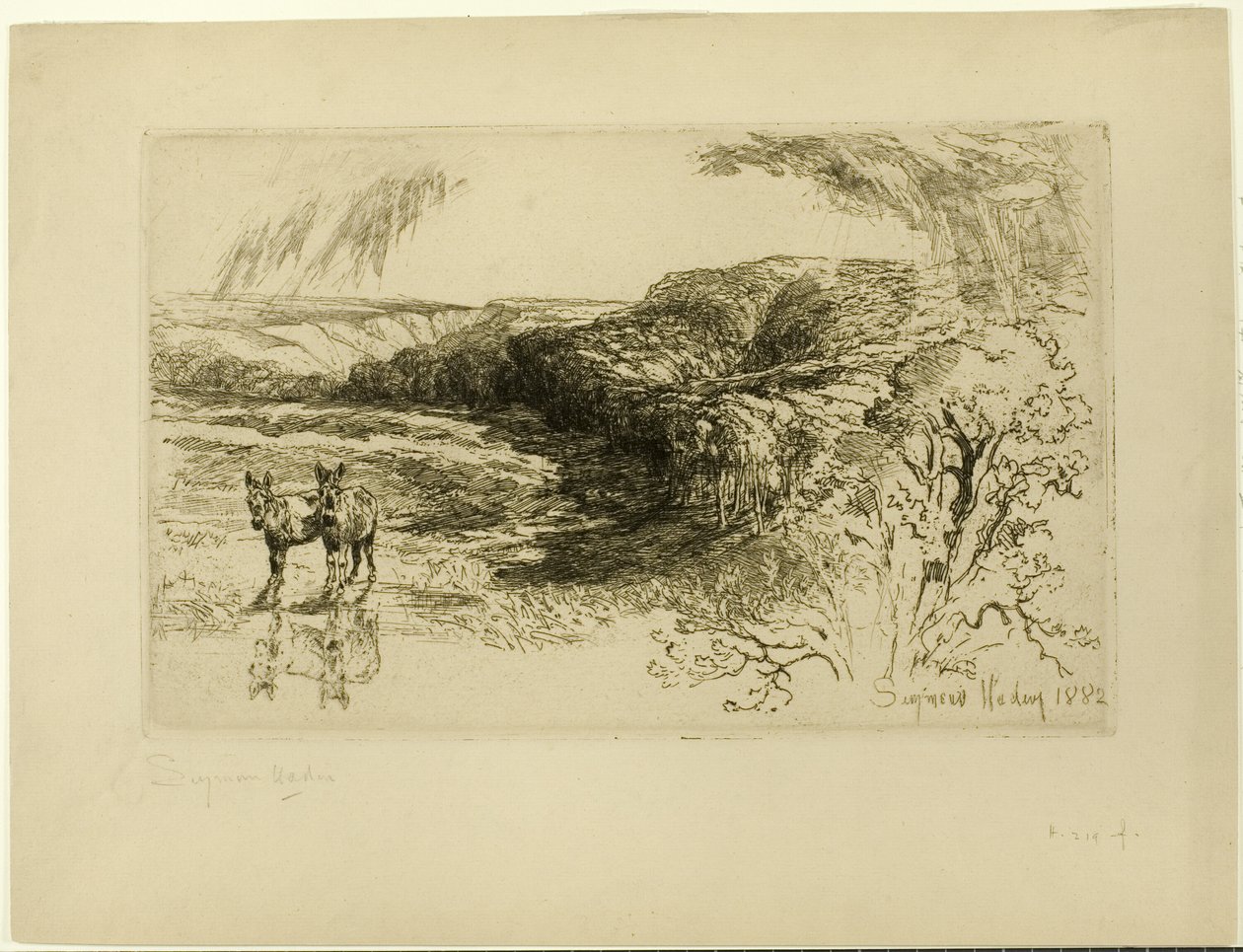 Encombe Woods, nr II autorstwa Francis Seymour Haden