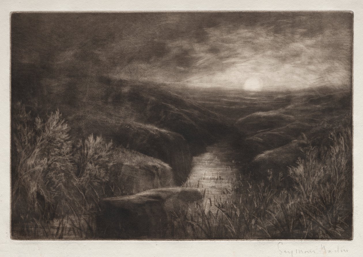Nawiedzenie komara autorstwa Francis Seymour Haden