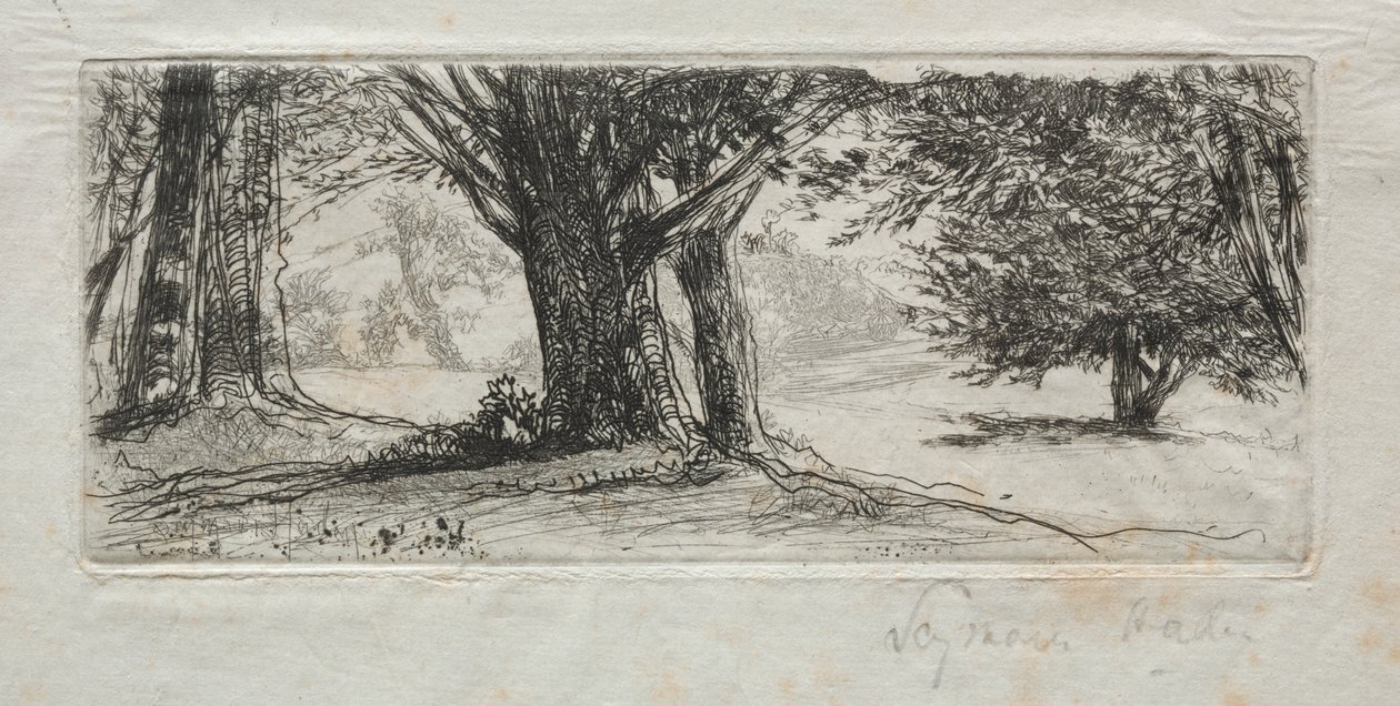 Święte Pole autorstwa Francis Seymour Haden