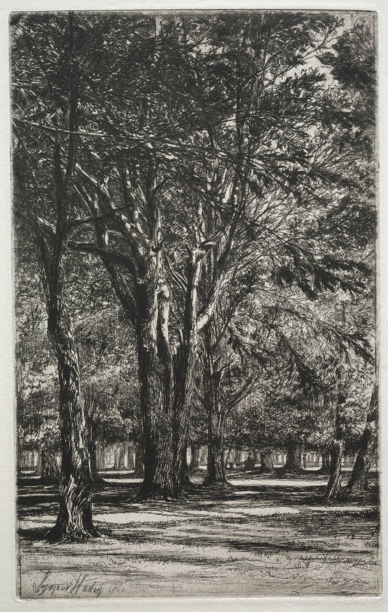 Ogrody Kensington (Duży Talerz) autorstwa Francis Seymour Haden
