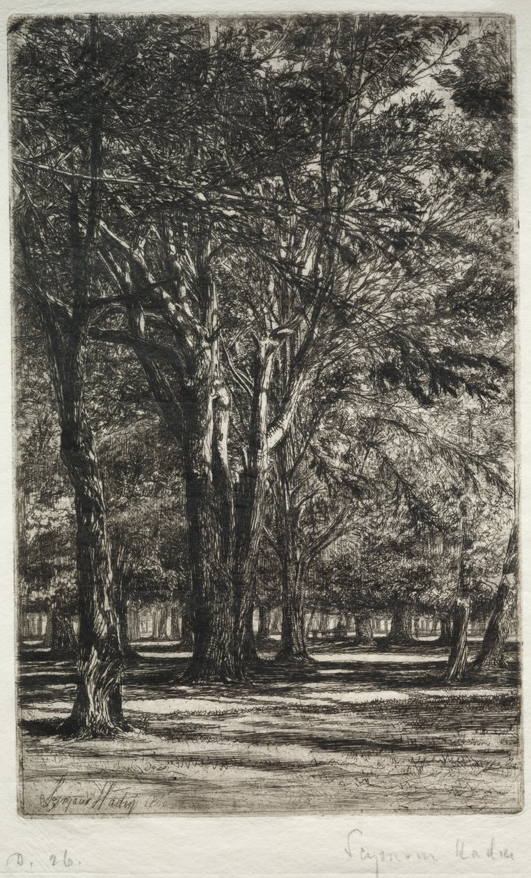 Ogrody Kensington (Większa Płyta) autorstwa Francis Seymour Haden