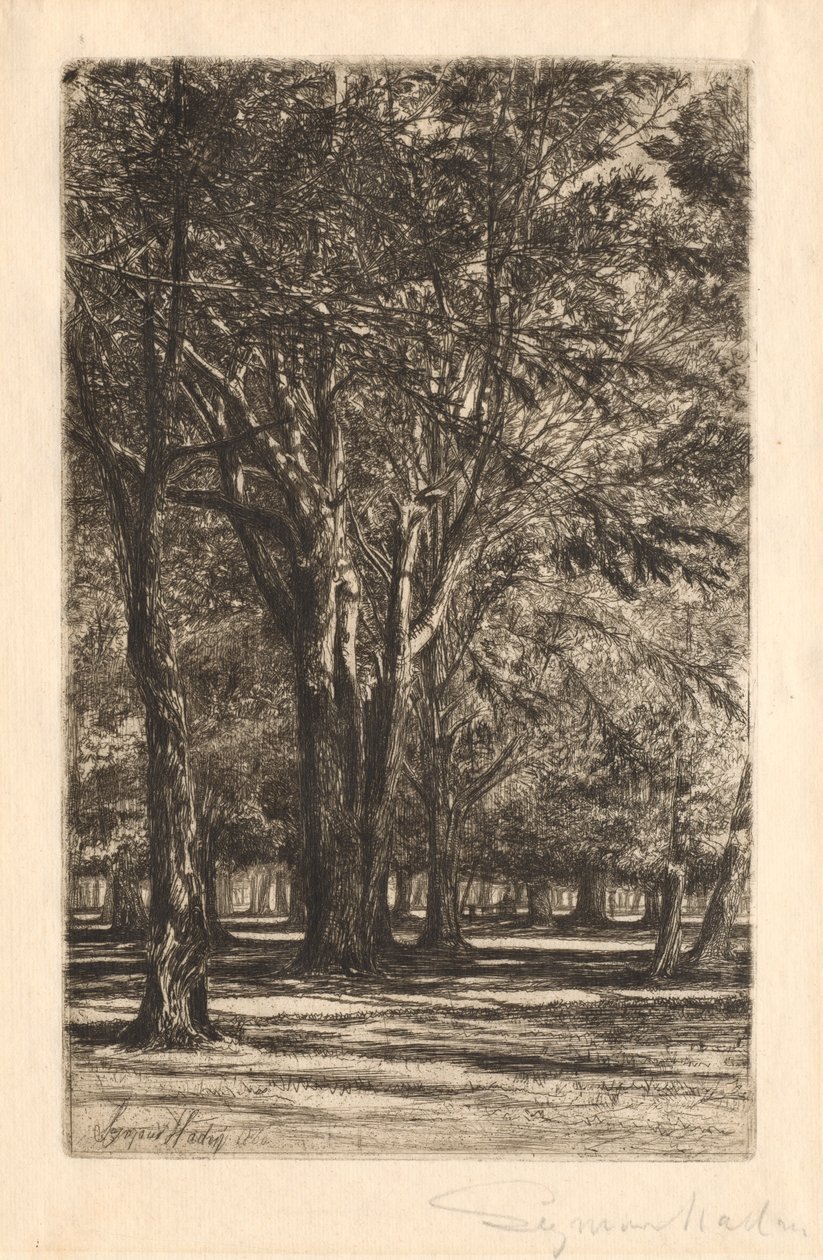 Kensington Gardens, nr 2 (duża płyta) autorstwa Francis Seymour Haden