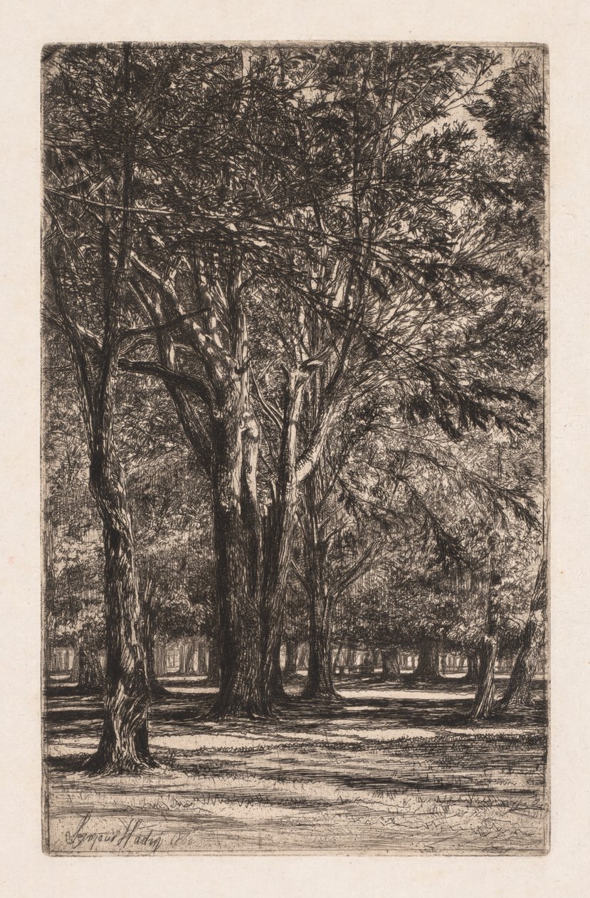 Kensington Gardens, nr 2 (większa płyta) autorstwa Francis Seymour Haden
