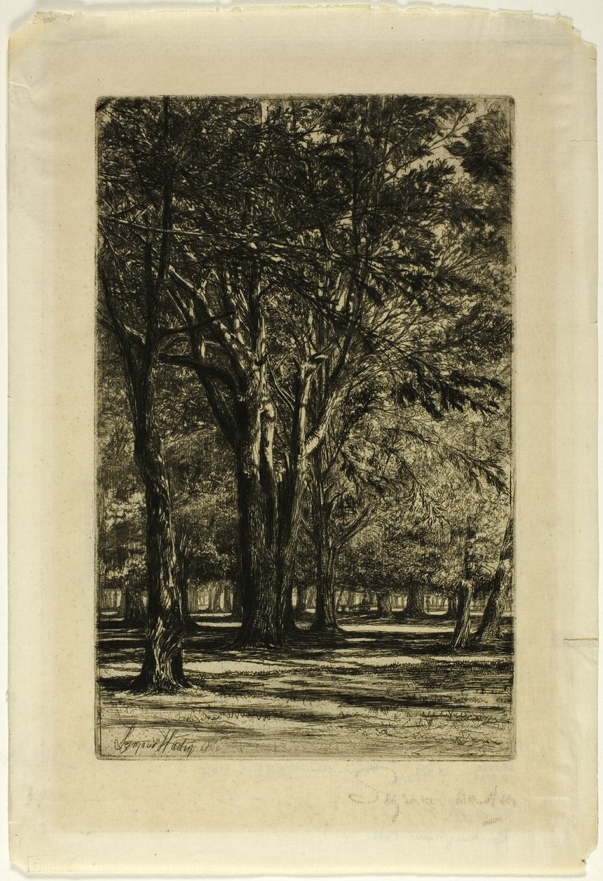 Kensington Gardens, nr II (duża płyta) autorstwa Francis Seymour Haden