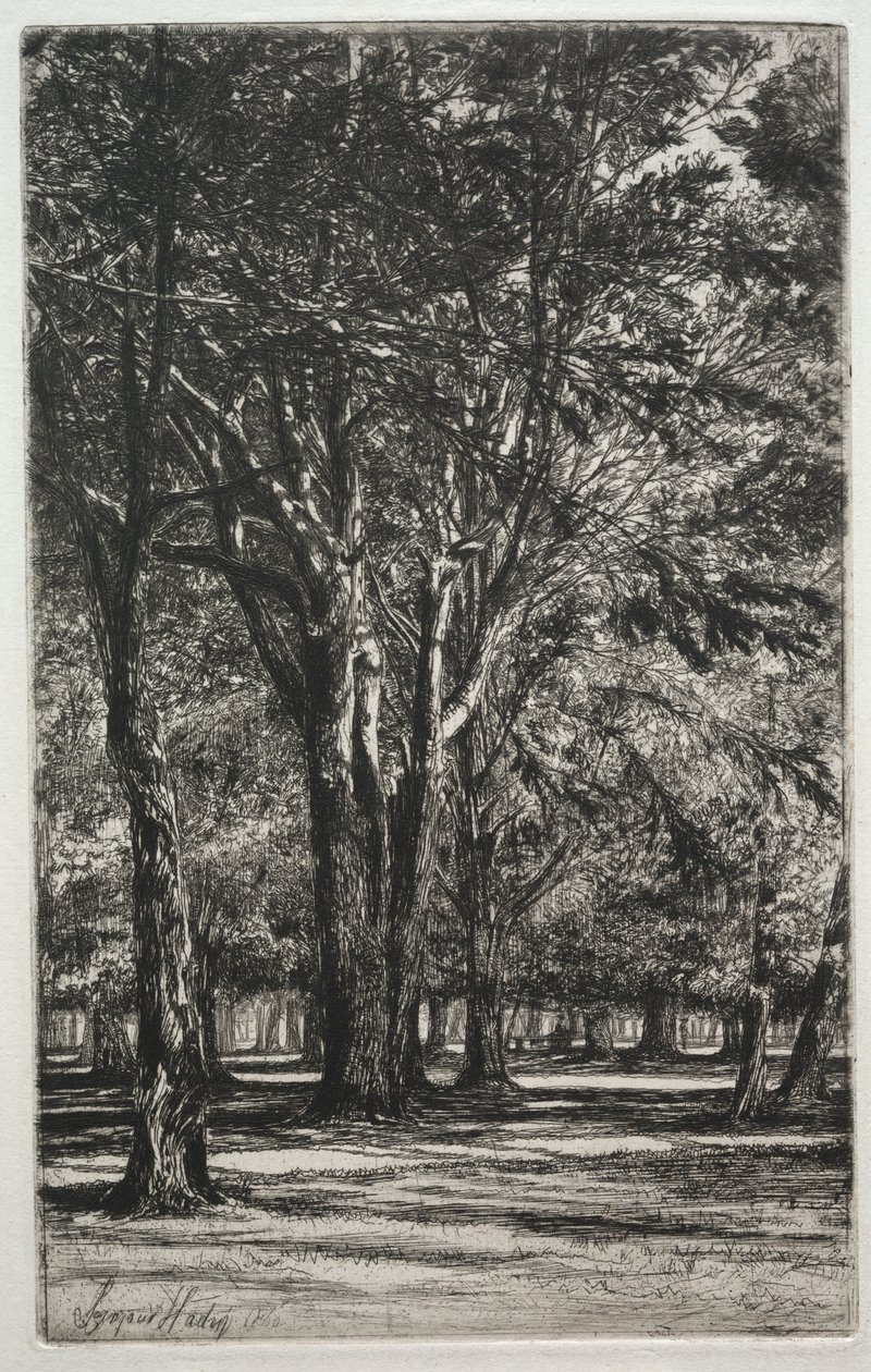 Kensington Gardens Duży talerz, 1860. autorstwa Francis Seymour Haden