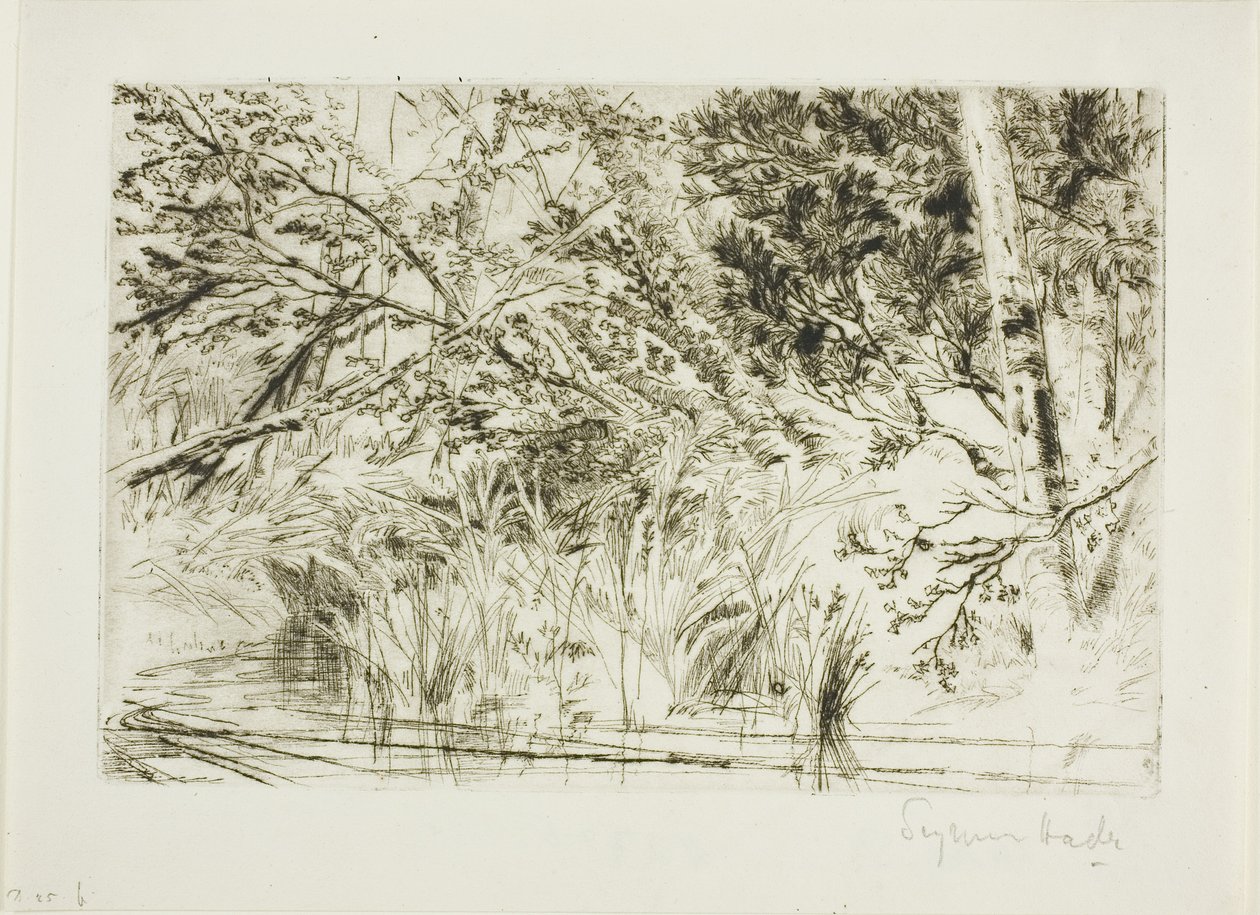 Usta potoku nr II autorstwa Francis Seymour Haden
