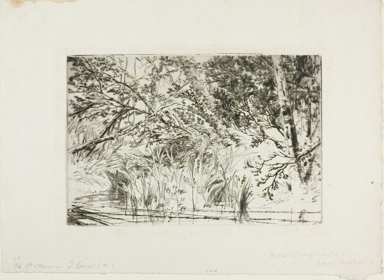 Usta potoku nr II autorstwa Francis Seymour Haden