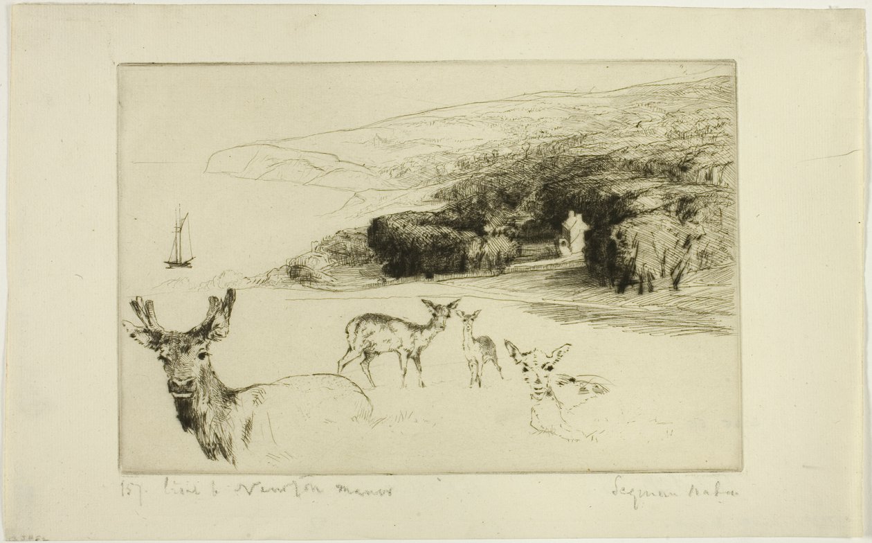 Dwór Newtonów autorstwa Francis Seymour Haden
