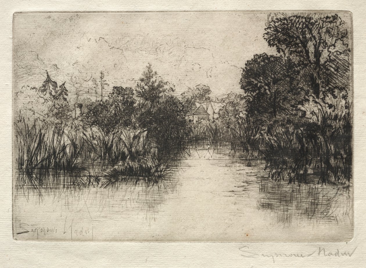 Staw Shere Mill (Małe Studium) autorstwa Francis Seymour Haden