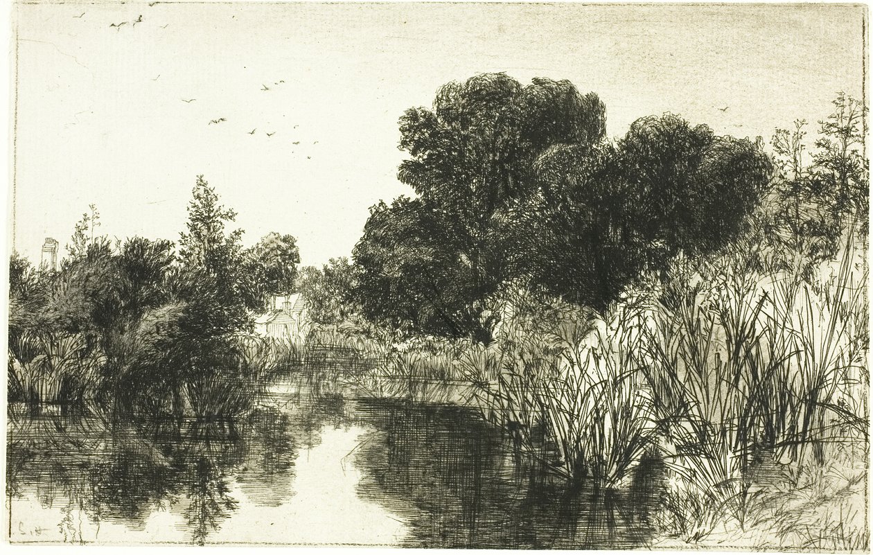 Shere Mill Pond, nr II (duża płyta) autorstwa Francis Seymour Haden