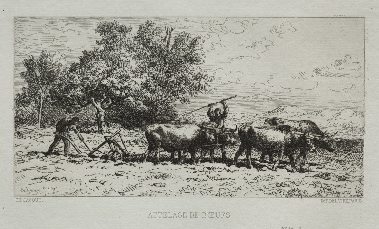 Drużyna Wołów autorstwa Francis Seymour Haden
