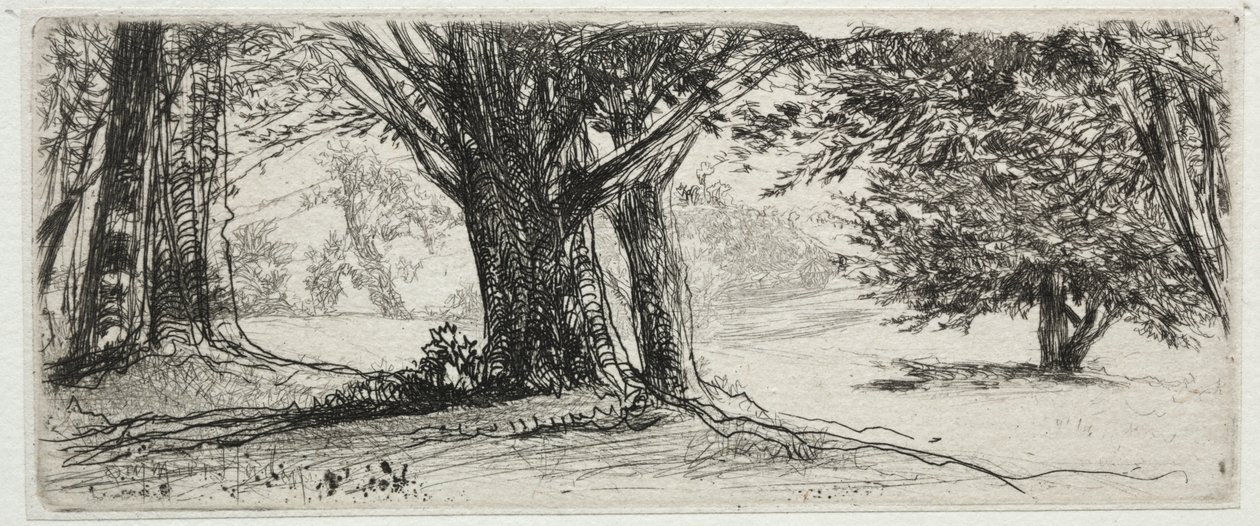 Święte Pole autorstwa Francis Seymour Haden