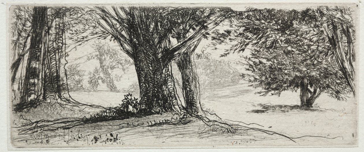Święte Pole. autorstwa Francis Seymour Haden