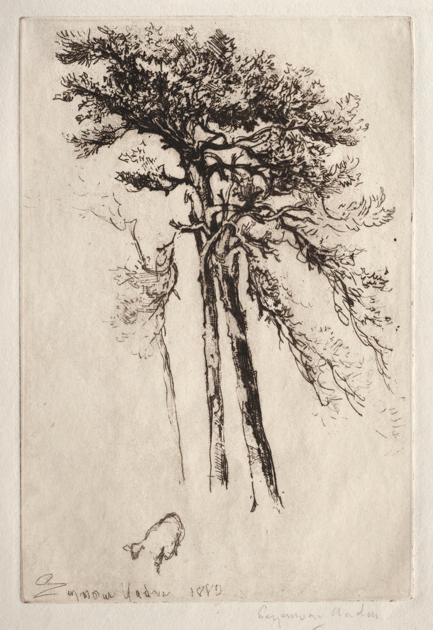 Najnowsze drzewo autorstwa Francis Seymour Haden