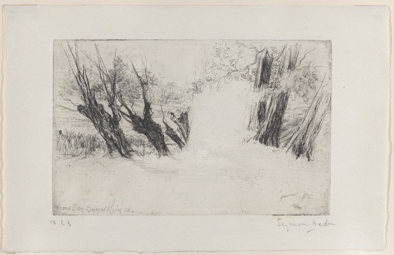 Spacer Zakochanych, nr I, 1864., 1864. autorstwa Francis Seymour Haden