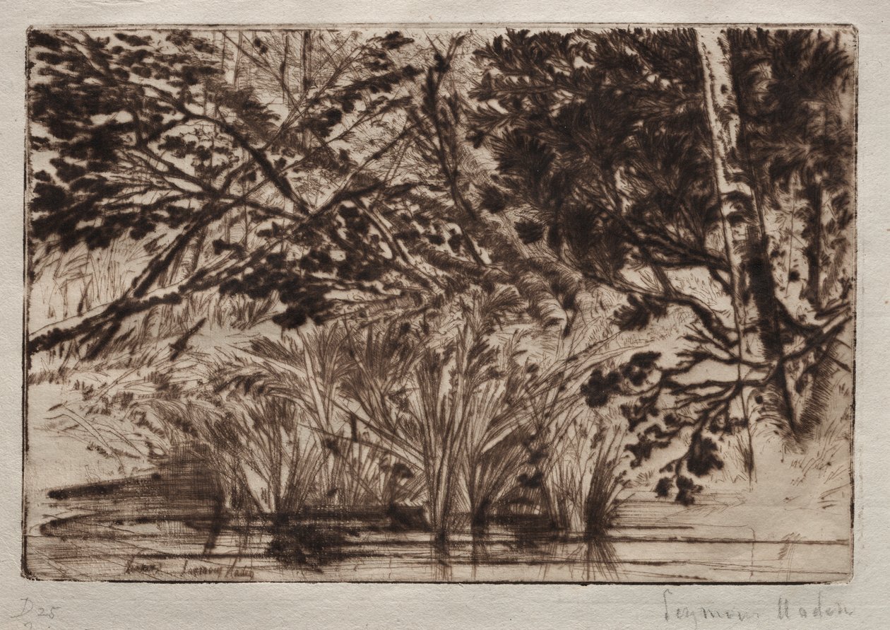 Usta potoku (druga płyta) autorstwa Francis Seymour Haden
